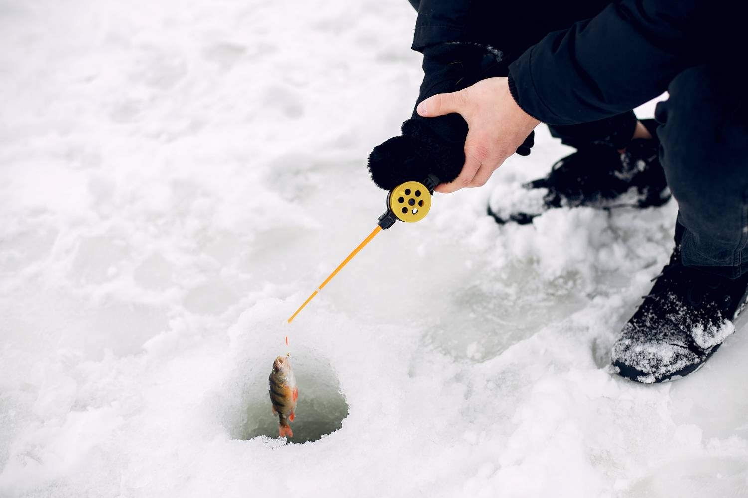 Pescar perto das margens e declives no inverno: vale a pena?